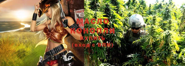 индика Белая Холуница