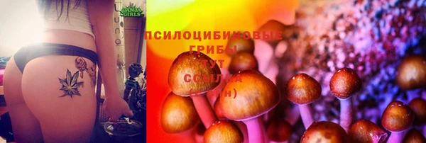дмт Слюдянка