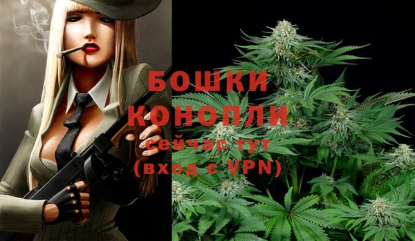 ALPHA PVP Медвежьегорск