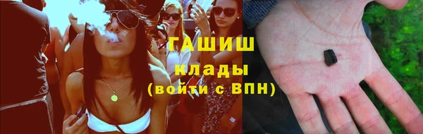 индика Белая Холуница