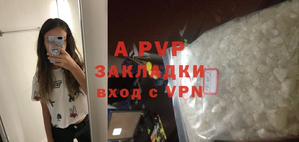 прущие грибы Мегион