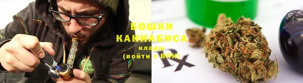 твердый Бикин