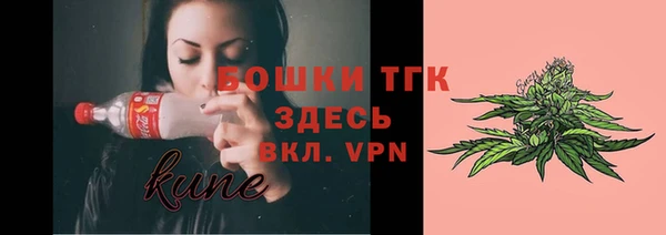 прущие грибы Мегион