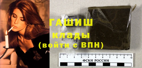 индика Белая Холуница