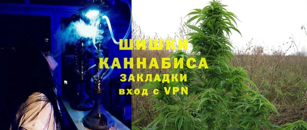 прущие грибы Мегион
