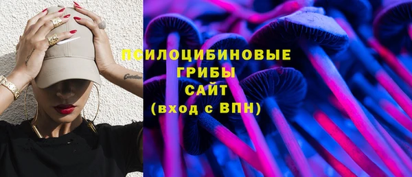 ALPHA PVP Медвежьегорск