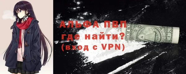 прущие грибы Мегион